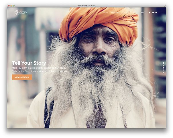 story-wordpress-theme-2