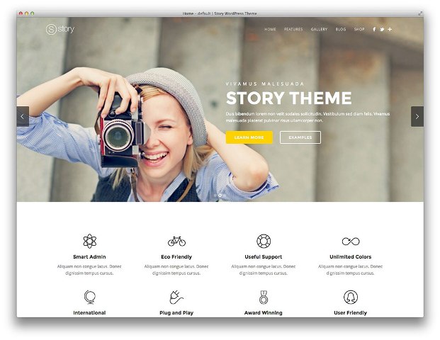 story-wordpress-theme